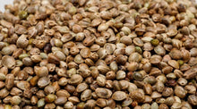 Lade das Bild in den Galerie-Viewer, Hanfsamen ganz BIO