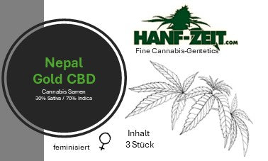 Nepal Gold CBD - 3 Samen